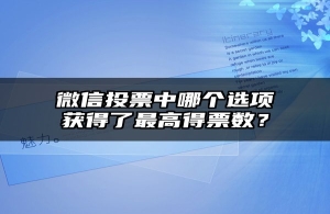 微信投票中哪个选项获得了最高得票数？