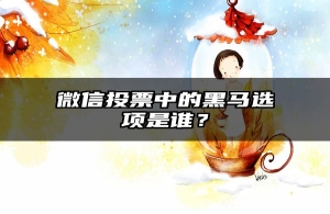 微信投票中的黑马选项是谁？