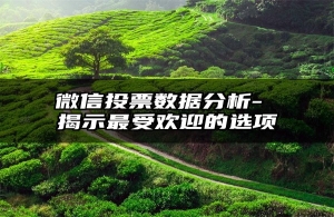 微信投票数据分析- 揭示最受欢迎的选项