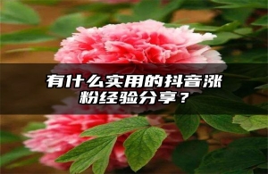 有什么实用的抖音涨粉经验分享？