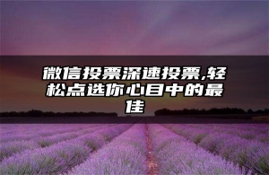 微信投票深速投票,轻松点选你心目中的最佳