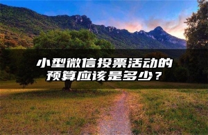 小型微信投票活动的预算应该是多少？