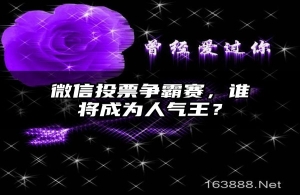 微信投票争霸赛，谁将成为人气王？