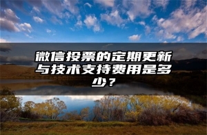 微信投票的定期更新与技术支持费用是多少？