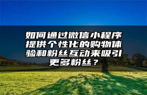 如何通过微信小程序提供个性化的购物体验和粉丝互动来吸引更多粉丝？