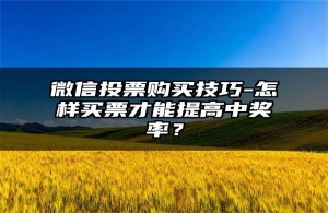 微信投票购买技巧-怎样买票才能提高中奖率？