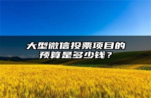 大型微信投票项目的预算是多少钱？