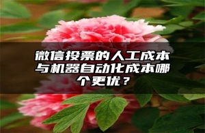 微信投票的人工成本与机器自动化成本哪个更优？