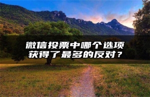 微信投票中哪个选项获得了最多的反对？