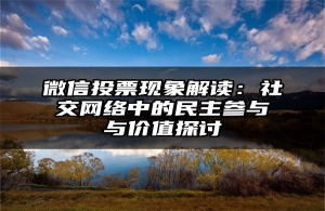 微信投票现象解读：社交网络中的民主参与与价值探讨