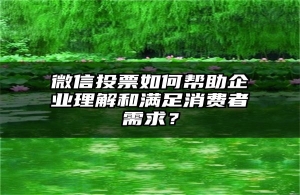 微信投票如何帮助企业理解和满足消费者需求？