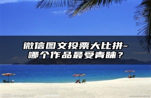 微信图文投票大比拼-哪个作品最受青睐？