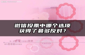 微信投票中哪个选项获得了最多反对？