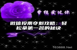 微信投票夺魁攻略：轻松拿第一名的秘诀