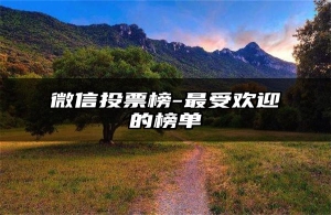 微信投票榜-最受欢迎的榜单