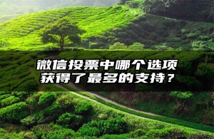 微信投票中哪个选项获得了最多的支持？