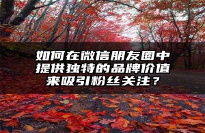 如何在微信朋友圈中提供独特的品牌价值来吸引粉丝关注？