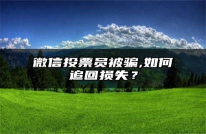 微信投票员被骗,如何追回损失？