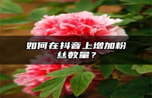 如何在抖音上增加粉丝数量？