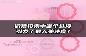 微信投票中哪个选项引发了最大关注度？