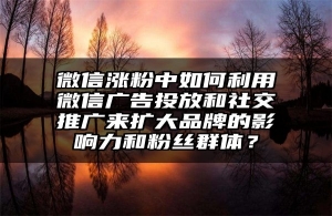 微信涨粉中如何利用微信广告投放和社交推广来扩大品牌的影响力和粉丝群体？