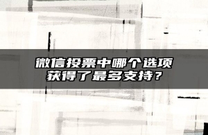 微信投票中哪个选项获得了最多支持？