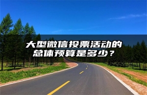 大型微信投票活动的总体预算是多少？