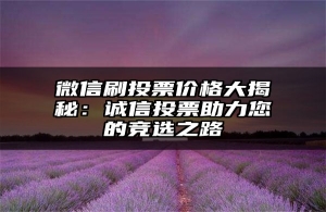 微信刷投票价格大揭秘：诚信投票助力您的竞选之路