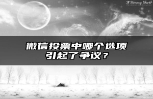 微信投票中哪个选项引起了争议？