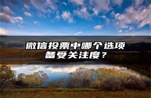 微信投票中哪个选项备受关注度？