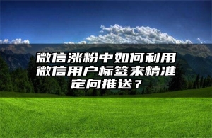 微信涨粉中如何利用微信用户标签来精准定向推送？