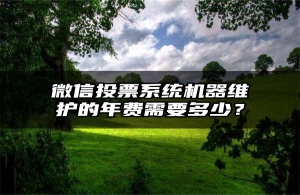 微信投票系统机器维护的年费需要多少？