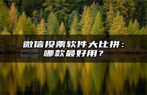 微信投票软件大比拼：哪款最好用？