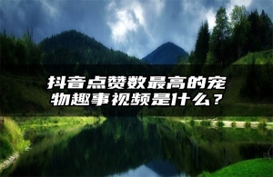 抖音点赞数最高的宠物趣事视频是什么？