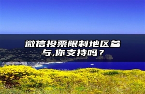 微信投票限制地区参与,你支持吗？