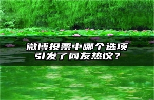 微博投票中哪个选项引发了网友热议？