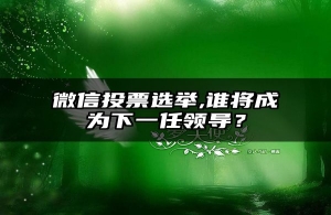 微信投票选举,谁将成为下一任领导？