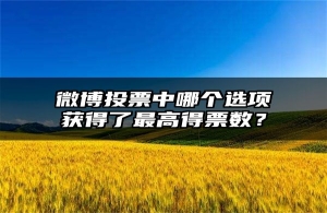 微博投票中哪个选项获得了最高得票数？