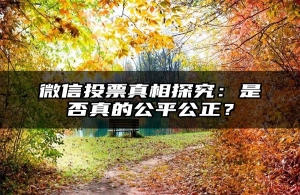 微信投票真相探究：是否真的公平公正？