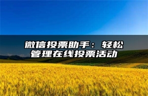 微信投票助手：轻松管理在线投票活动