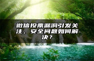 微信投票漏洞引发关注，安全问题如何解决？