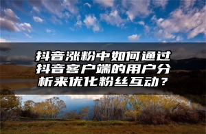 抖音涨粉中如何通过抖音客户端的用户分析来优化粉丝互动？