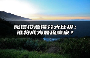 微信投票得分大比拼：谁将成为最终赢家？