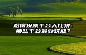 微信投票平台大比拼：哪些平台最受欢迎？