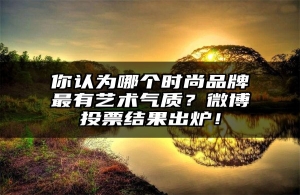 你认为哪个时尚品牌最有艺术气质？微博投票结果出炉！