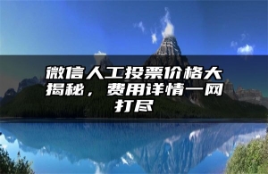 微信人工投票价格大揭秘，费用详情一网打尽