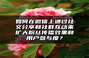 如何在微信上通过社交分享和社群互动来扩大粉丝传播效果和用户参与度？