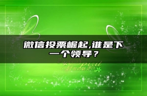 微信投票崛起,谁是下一个领导？