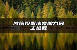 微信投票法案助力民主进程