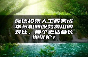 微信投票人工服务成本与机器服务费用的对比，哪个更适合长期维护？